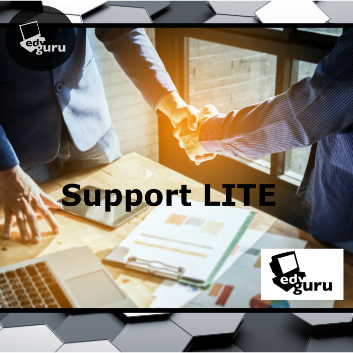 IT-GURU SUPPORT (NAS infrastructure) lite (base)