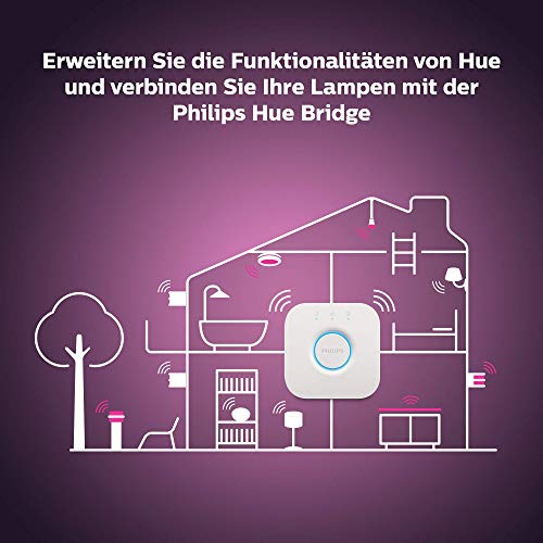Philips Hue White & Col. Amb. LED floor lamp Signe, dimmable, 16 million colors, controllable via app, compatible with Amazon Alexa (Echo, Echo Dot) - EDV-Guru (Guru e.U.)