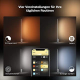 Philips Hue White & Col. Amb. LED floor lamp Signe, dimmable, 16 million colors, controllable via app, compatible with Amazon Alexa (Echo, Echo Dot) - EDV-Guru (Guru e.U.)