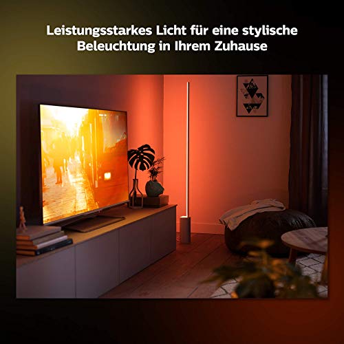 Philips Hue White & Col. Amb. LED floor lamp Signe, dimmable, 16 million colors, controllable via app, compatible with Amazon Alexa (Echo, Echo Dot) - EDV-Guru (Guru e.U.)
