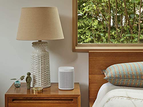 Sonos One SL All-In-One Smart Динамик (мощный динамик WiFi с управлением через приложение и AirPlay 2 — мультирум-динамик для неограниченной потоковой передачи музыки) белый, без голосового управления — EDV-Guru (Guru e.U.)