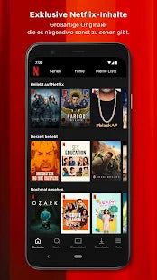 Netflix - IT Guru (Guru e.U.)