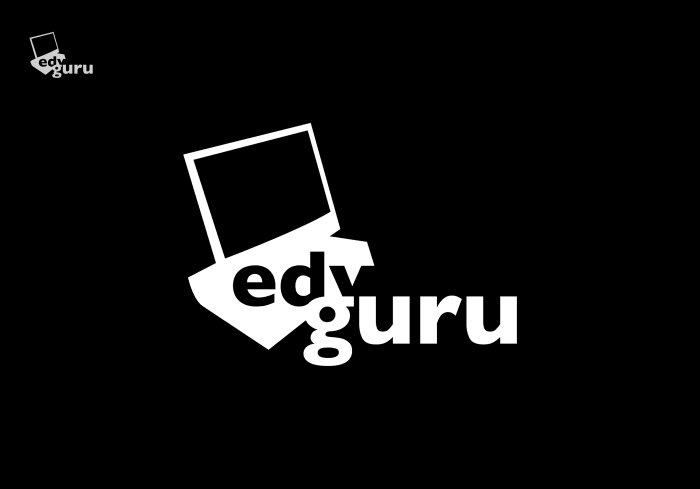 Contrato de parceiro com o guru de TI